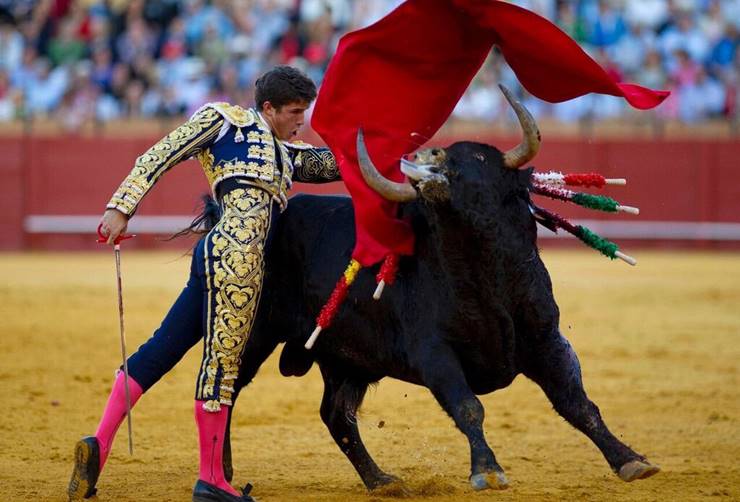 Entrevista a Fernando Aguiar: ética y toros Entrevista a Fernando Aguiar: ética y toros.