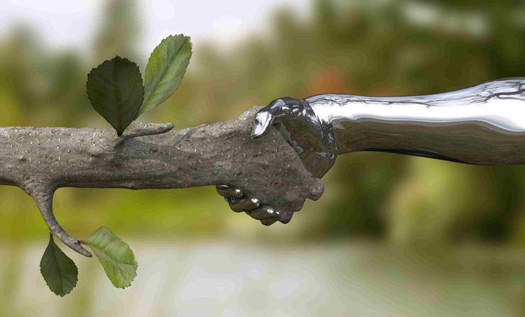 Naturaleza y tecnología Naturaleza y tecnología.